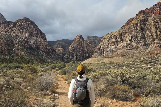 Red Rock Canyon Climbing